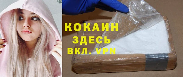 стафф Алексин