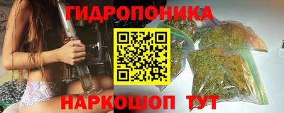 ГАЛЛЮЦИНОГЕННЫЕ ГРИБЫ Кингисепп