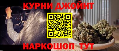 ГАЛЛЮЦИНОГЕННЫЕ ГРИБЫ Кингисепп