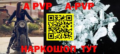 ГАЛЛЮЦИНОГЕННЫЕ ГРИБЫ Кингисепп