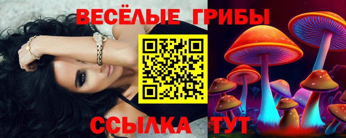 Крымск  Галлюциногенные грибы Psilocybine cubensis  Вход с VPN 