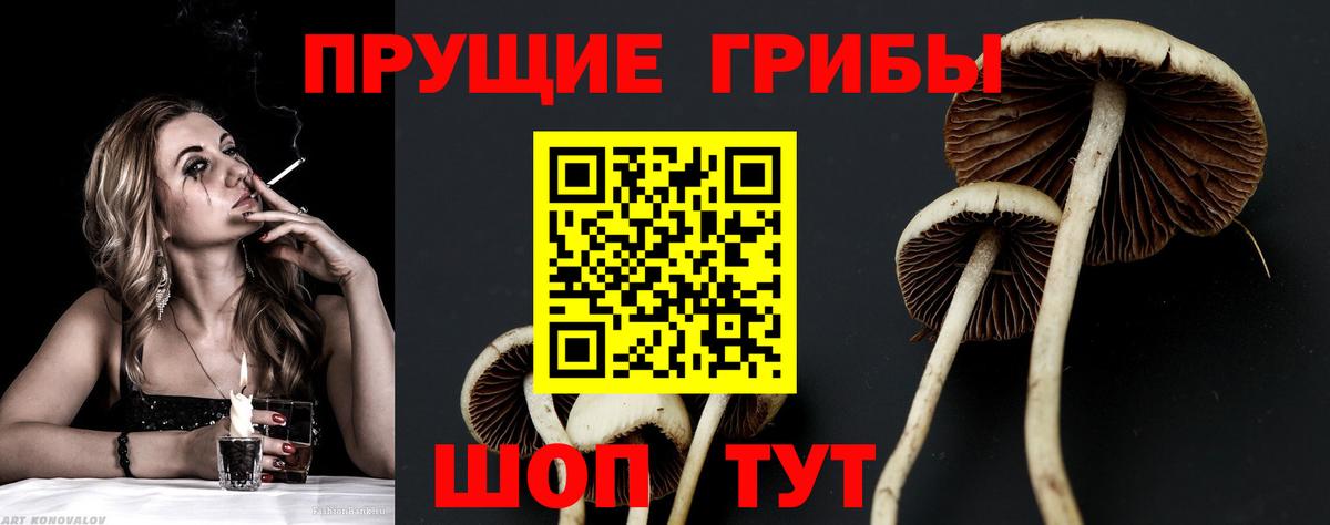 Псилоцибиновые грибы прущие грибы Крымск